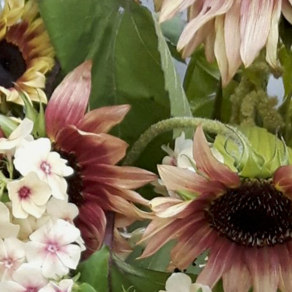 Blumenstraußmischung, Love & Fire – Enthält 4 x Samenpäckchen