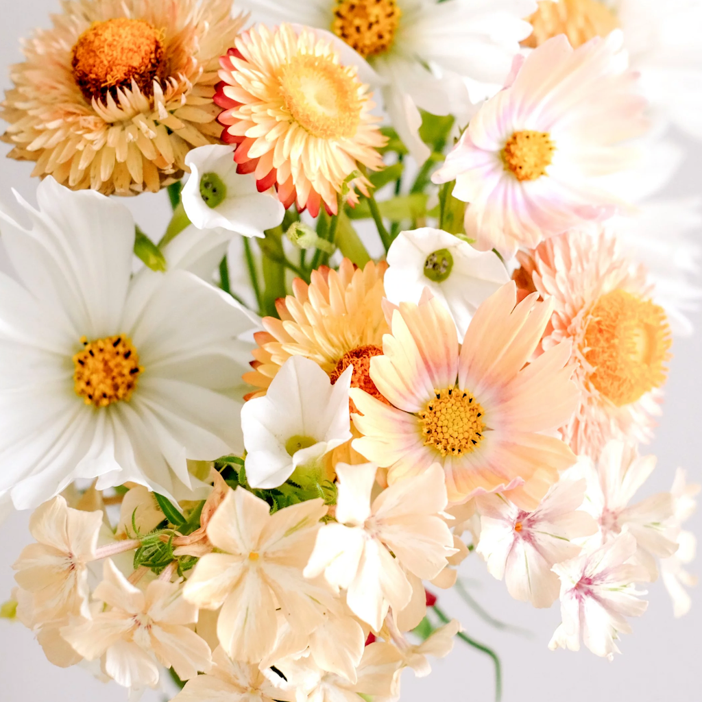 Den Ferskenfarvede Blomsterblanding - Den ideelle Værtindegave